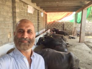 FCM CEO at Cattle Farm