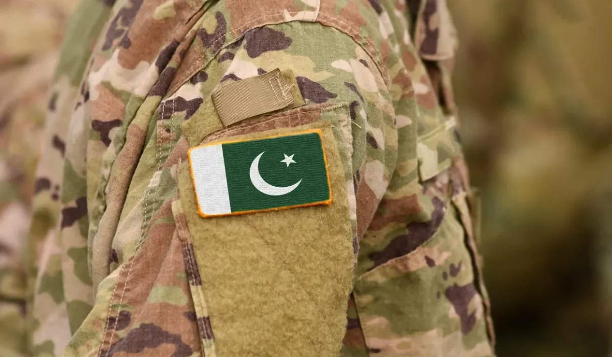 Pakistan military role